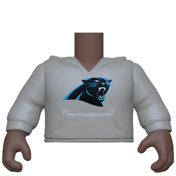 PY: Torso- ML SK4- HDY(GY) Panthers, Image 1